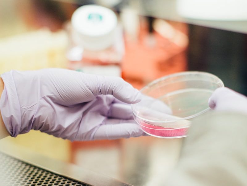 Biotech-3.jpg Biotech-3.jpg